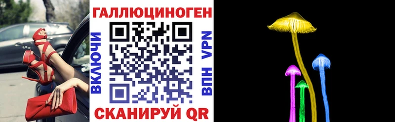 Псилоцибиновые грибы мухоморы  купить наркотик  KRAKEN ссылки  Курган 